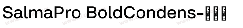 SalmaPro BoldCondens字体转换 SalmaPro BoldCondens字体转换